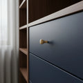 20 mm classic rund Holz Möbelknopf installed on cabinet door
